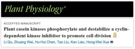 首页 上海交通大学单细胞生物学联合研究中心